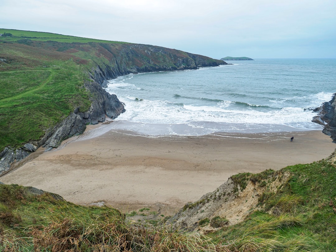 Photo Overlook Cardigan