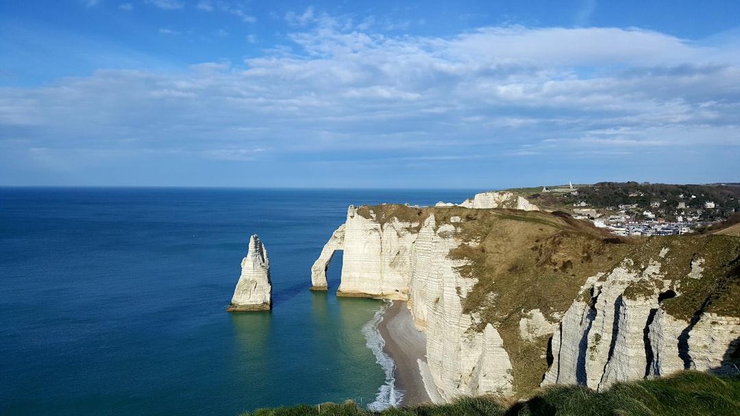 Photo Overlook Carpet